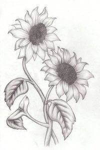 Goede Bloemen tekenen en schilderen, zonnebloemen - Zelfkunstmaken.nl CR-93
