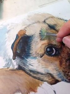 Gewoon overlopen katje ZuidAmerika Hondenvacht schilderen - Zelfkunstmaken.nl